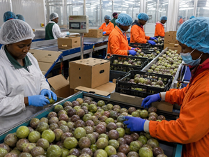 Fruit Supplier code of Conduct for Norway